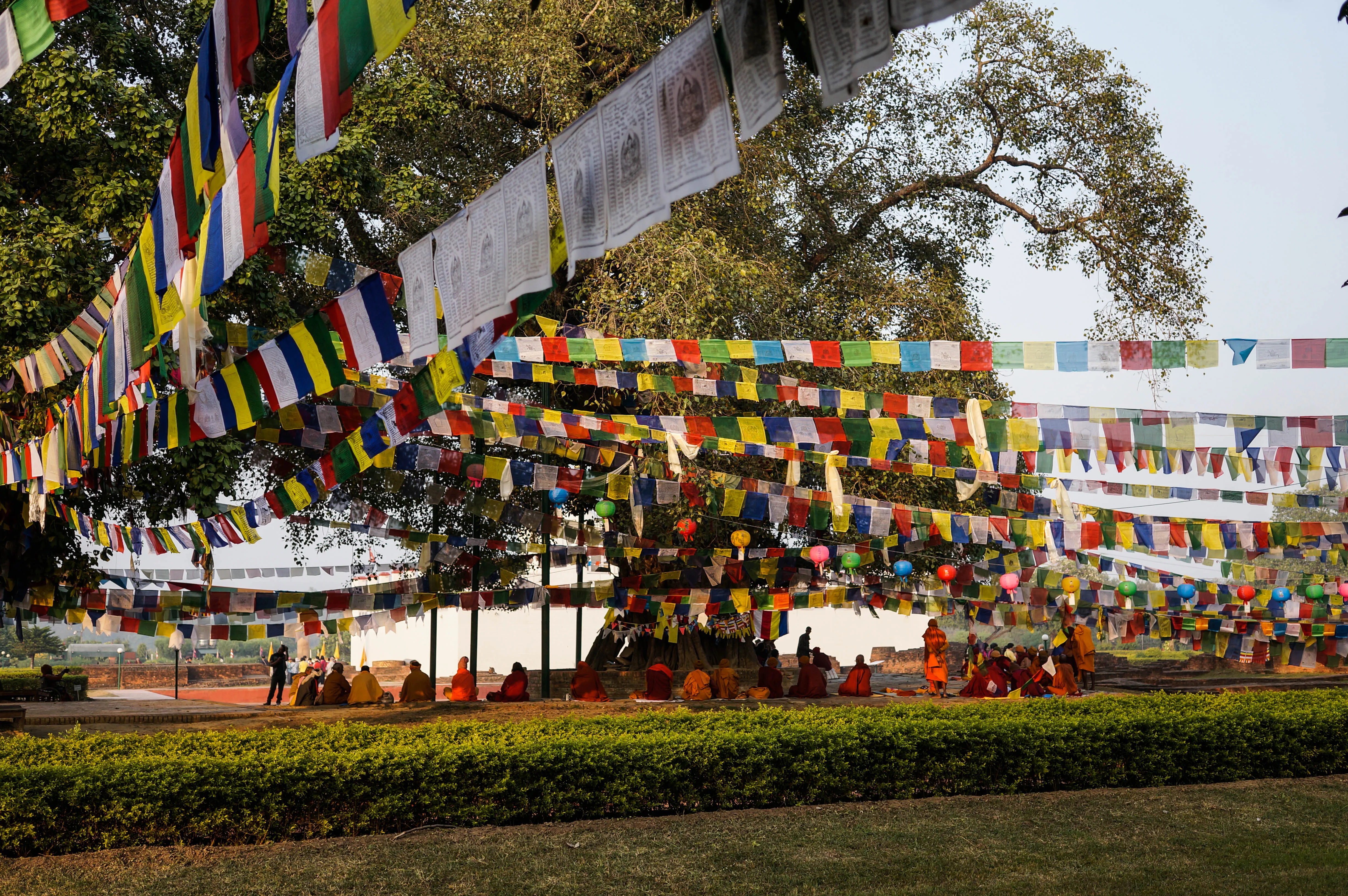 Where the Buddha was born
