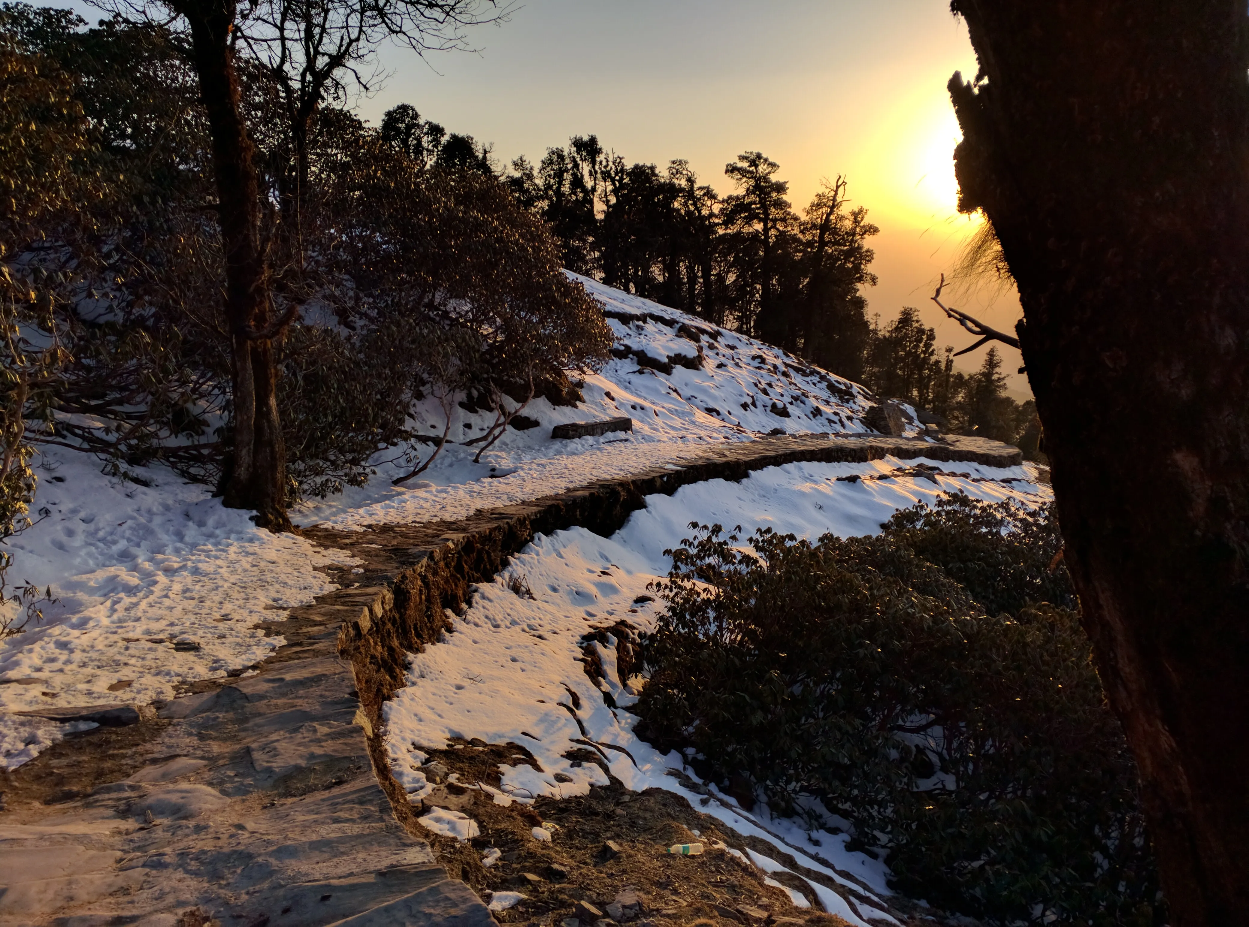 The next morning in Chopta
