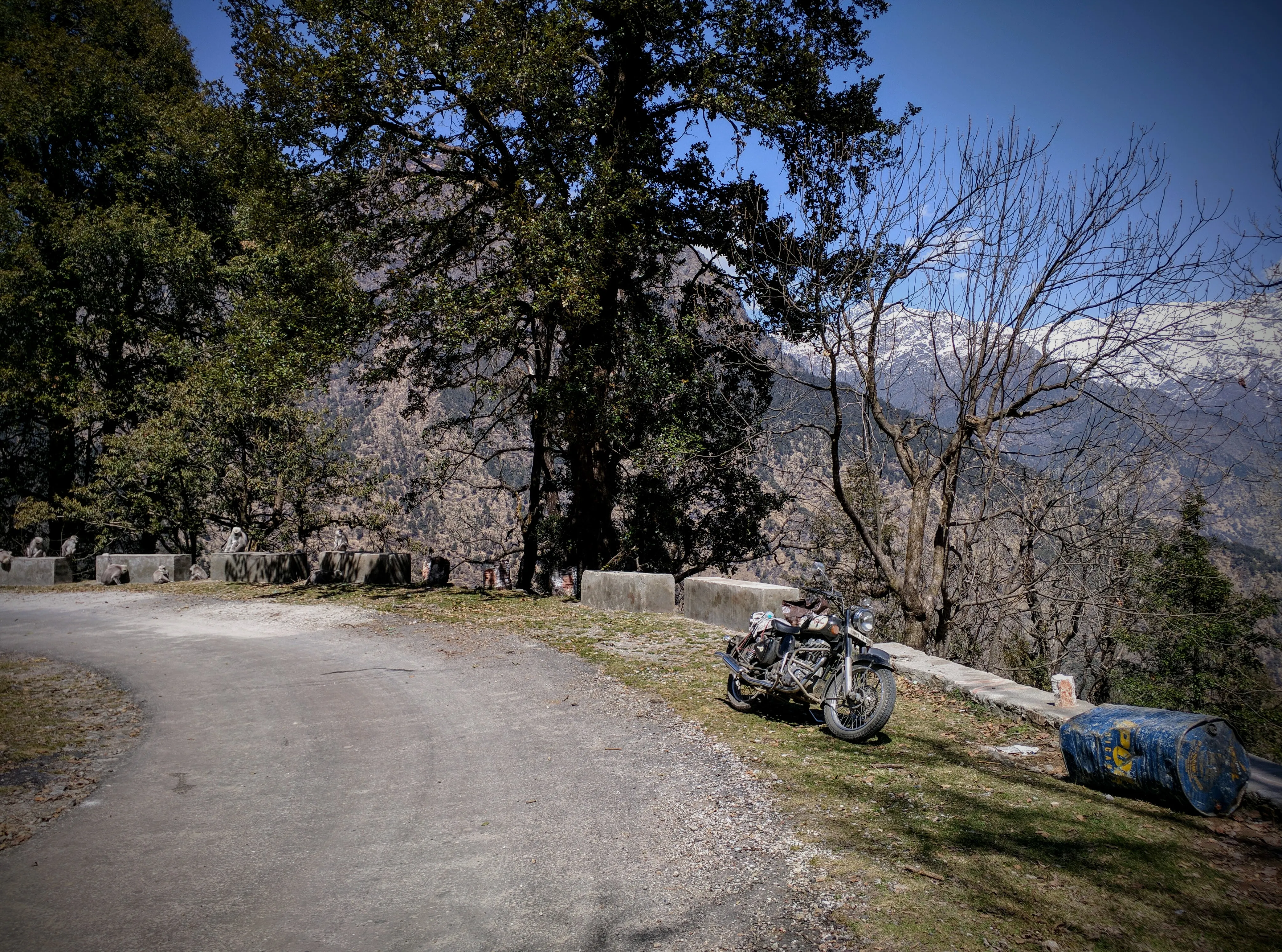 On the way to Chopta — monkeys, mountains and motorcycle